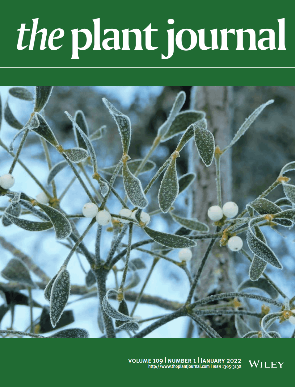 The Plant Journal Cover